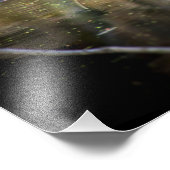 Schildkröte Fotodruck (Ecke)