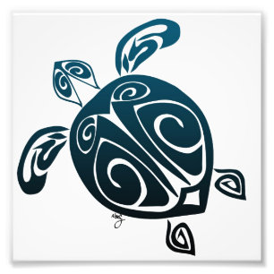 Schildkröte Fotodruck