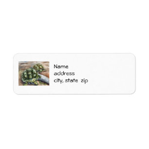 Schildkröte-Freund-Rücksendeadressen-Aufkleber