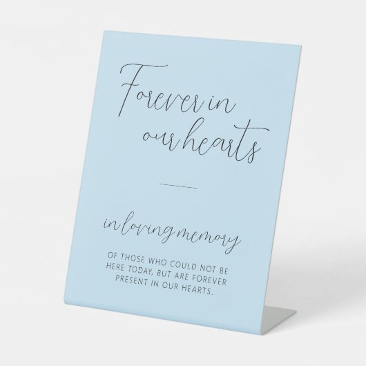 Schildkröte für Erinnerungsspeicher Sockelschild (Vorderseite)