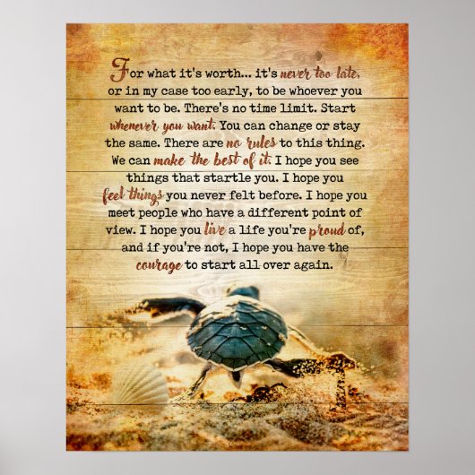 Schildkröte für was inspirierend und Motivierend Poster (Vorne)