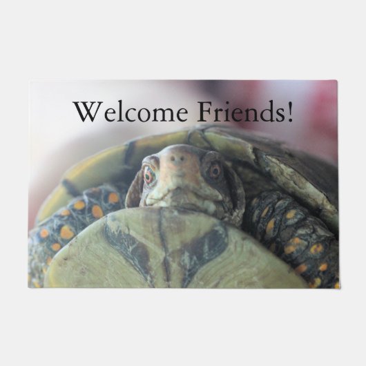 Schildkröte Fußmatte (Vorderseite)