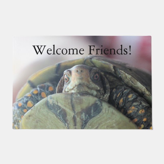 Schildkröte Fußmatte (Vorderseite)