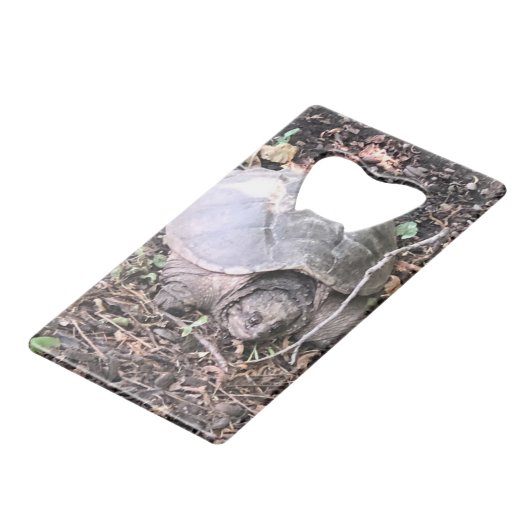 Schildkröte Geldbeutel Flaschenöffner (Rückseite Schrägansicht)