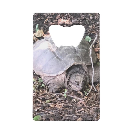 Schildkröte Geldbeutel Flaschenöffner (Rückseite)