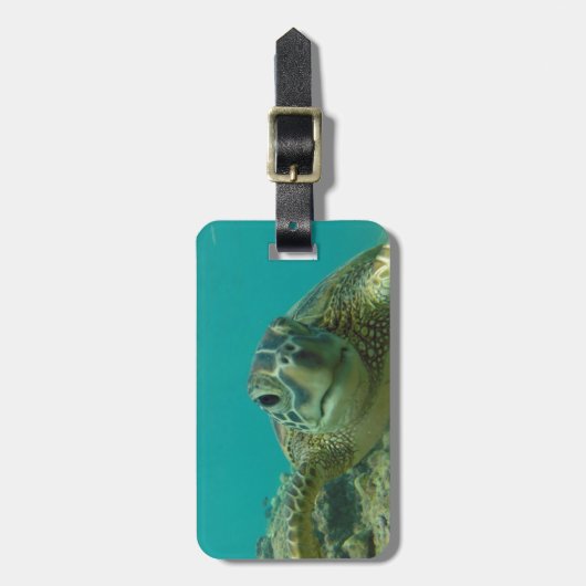 Schildkröte Gepäckanhänger (Vorderseite vertikal)