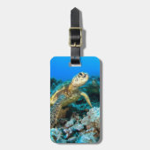 Schildkröte Gepäckanhänger (Vorderseite vertikal)