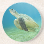 Schildkröte Getränkeuntersetzer (Vorne)