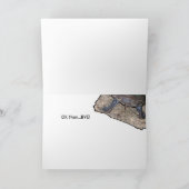 Schildkröte hallo! karte (Innenseite)