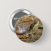 Schildkröte - Hals aus Button (Vorne & Hinten)