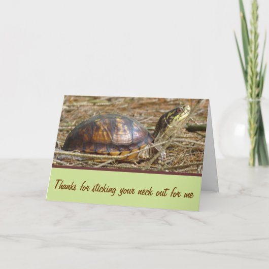 Schildkröte - Hals aus Karte (Vorderseite)
