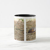 Schildkröte - Hals aus Tasse (Zentrum)