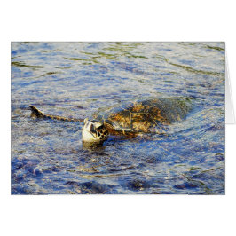 Schildkröte, Hawaii, Karte