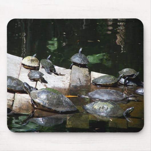 Schildkröte-Himmel Mousepad (Vorne)