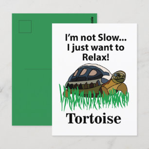 Schildkröte Ich Will Mich Nur Entspannen Tier Haus Postkarte