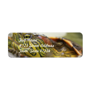 Schildkröte-Identifizierungs-Postsendung-Aufklebe