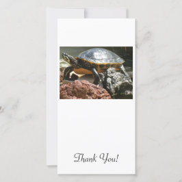 Schildkröte im Aquarium Dankeskarte