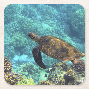 Schildkröte im Meer Rechteckiger Pappuntersetzer
