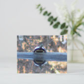 Schildkröte im Teich-Postkarte Postkarte (Stehend Vorderseite)
