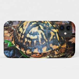 Schildkröte im Wald, Chester, South Carolina Post Case-Mate iPhone Hülle
