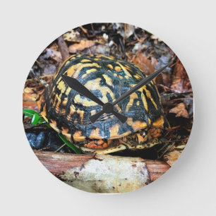 Schildkröte im Wald, Chester, South Carolina Post Runde Wanduhr