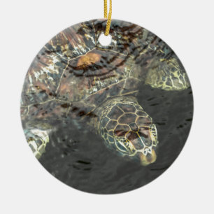 Schildkröte im Wasser Keramik Ornament