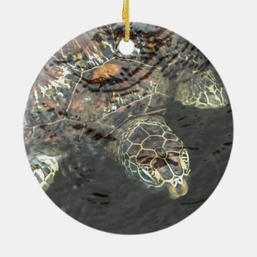 Schildkröte im Wasser Keramik Ornament (Hinten)