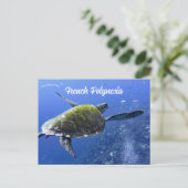 Schildkröte in Mo'orea Französisch-Polynesien Postkarte (Stehend Vorderseite)