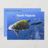 Schildkröte in Mo'orea Französisch-Polynesien Postkarte (Vorne/Hinten)