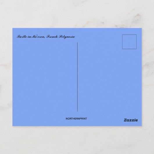 Schildkröte in Mo'orea Französisch-Polynesien Postkarte (Rückseite)