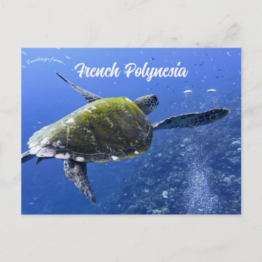 Schildkröte in Mo'orea Französisch-Polynesien Postkarte (Vorderseite)