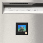 Schildkröte ist nicht wütend magnet (In Situ (Geschirrspüler))