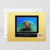 Schildkröte ist nicht wütend postkarte (Vorne/Hinten)