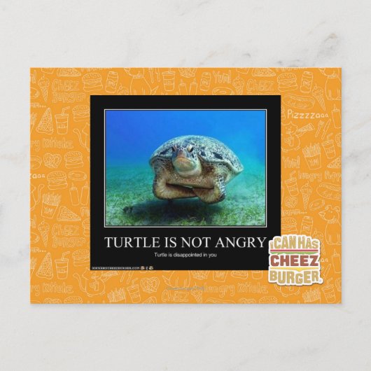 Schildkröte ist nicht wütend postkarte (Vorderseite)