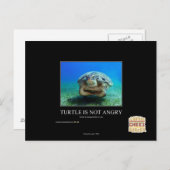 Schildkröte ist nicht wütend postkarte (Vorne/Hinten)