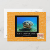 Schildkröte ist nicht wütend postkarte (Vorne/Hinten)