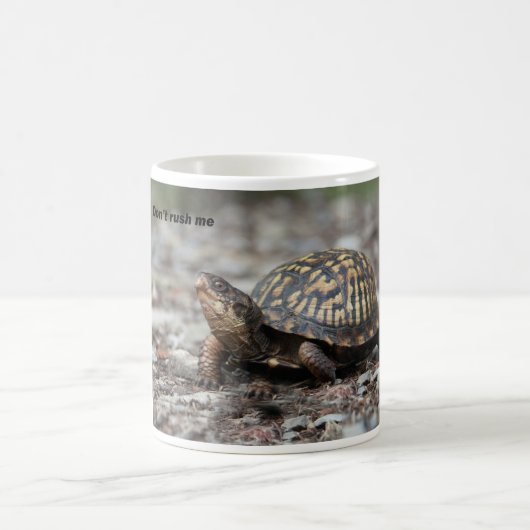 Schildkröte Kaffeetasse (Mittel)