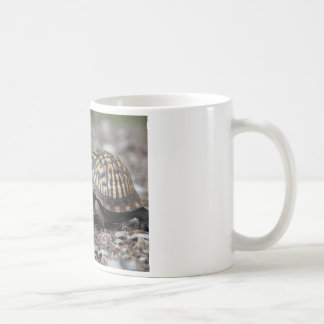 Schildkröte Kaffeetasse