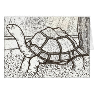 Schildkröte-Karte