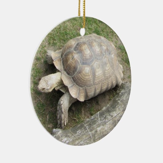 Schildkröte Keramik Ornament (Rechts)