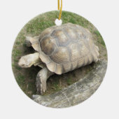 Schildkröte Keramik Ornament (Vorne)