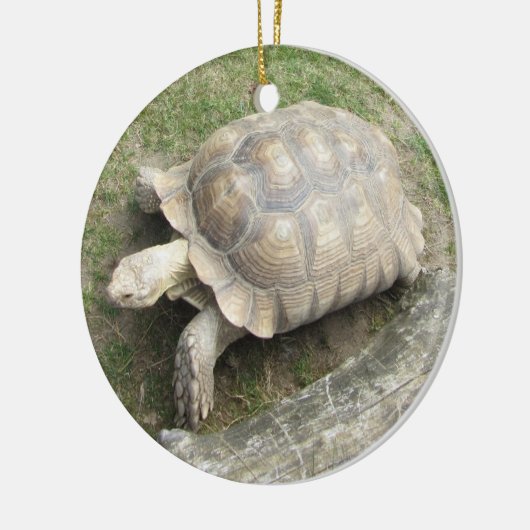 Schildkröte Keramik Ornament (Links)