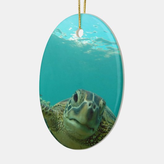 Schildkröte Keramik Ornament (Links)