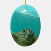 Schildkröte Keramik Ornament (Vorne)