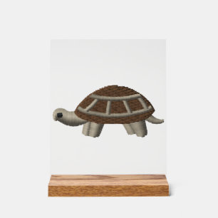Schildkröte Kopie Kopie Kopie Kopie Kopie Kopie Ko Acrylschild