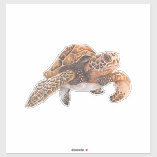 Schildkröte Kopie Kopie Kopie Kopie Kopie Kopie Ko Aufkleber