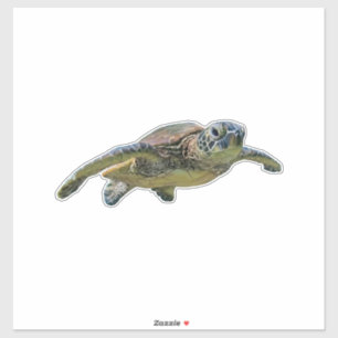 Schildkröte Kopie Kopie Kopie Kopie Kopie Kopie Ko Aufkleber