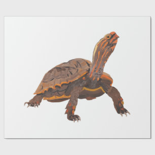 Schildkröte Kopie Kopie Kopie Kopie Kopie Kopie Ko Geschenkpapier