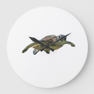 Schildkröte Kopie Kopie Kopie Kopie Kopie Kopie Ko Große Wanduhr