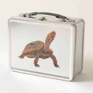 Schildkröte Kopie Kopie Kopie Kopie Kopie Kopie Ko Metall Brotdose